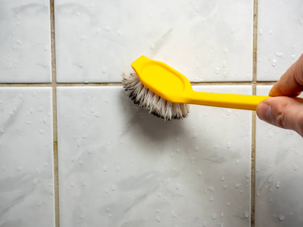 Best Residential Mold Remediation in Albers, IL