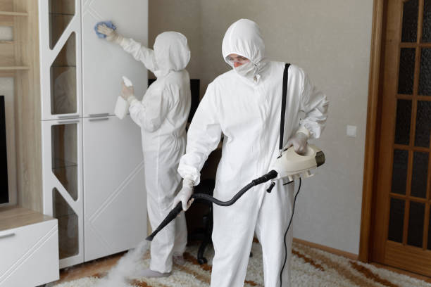Best Crawl Space Mold Remediation in Albers, IL